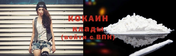 амф Арсеньев