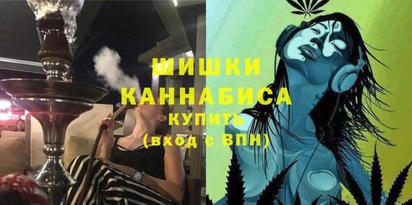 сатива Баксан
