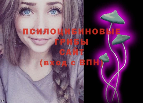 сатива Баксан