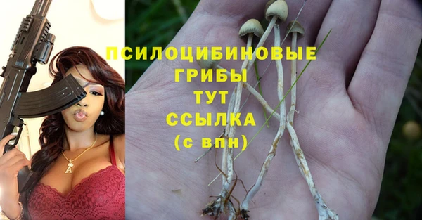 гашик Аркадак