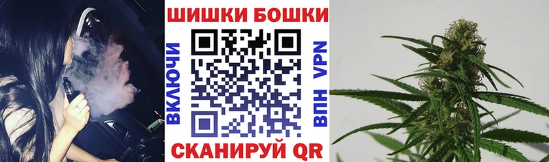 где купить   Нефтекумск  Конопля AK-47 